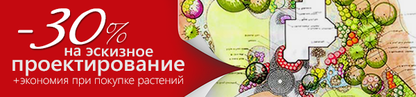 скидка на проектирование 2.png скидка на проектирование 2.png